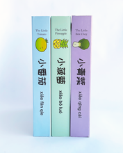 Load image into Gallery viewer, The Little Garden Bilingual Bundle | A Trio of Bilingual Children&#39;s Books (Chinese, English &amp; Pinyin)
